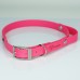 Herzband Halsband für deinen Healy