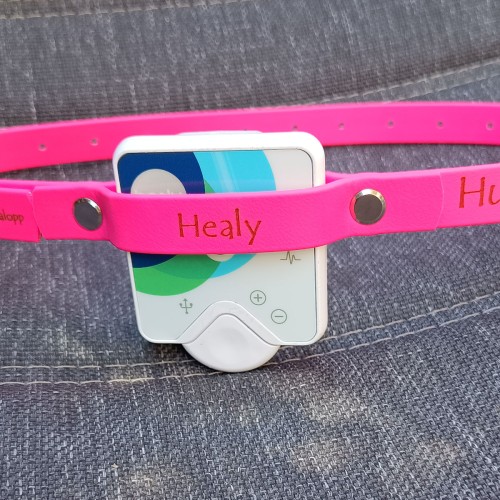 Herzband Halsband für deinen Healy