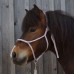 Seilverliebt Seilhalfter Bubble Gum