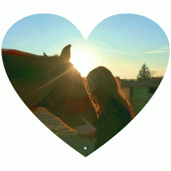 Tierkommunikation - langes Gespräch